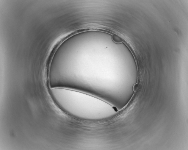 X0000111600987200907161210