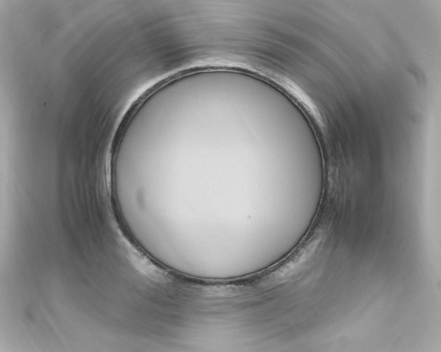X0000111600988200907161210