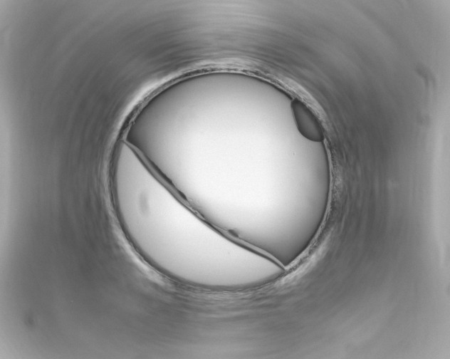 X0000111600989200907161210