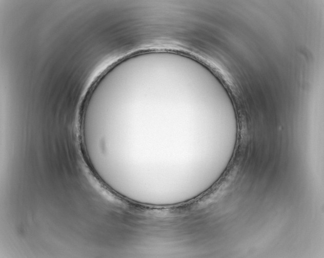 X0000111600990200907161210