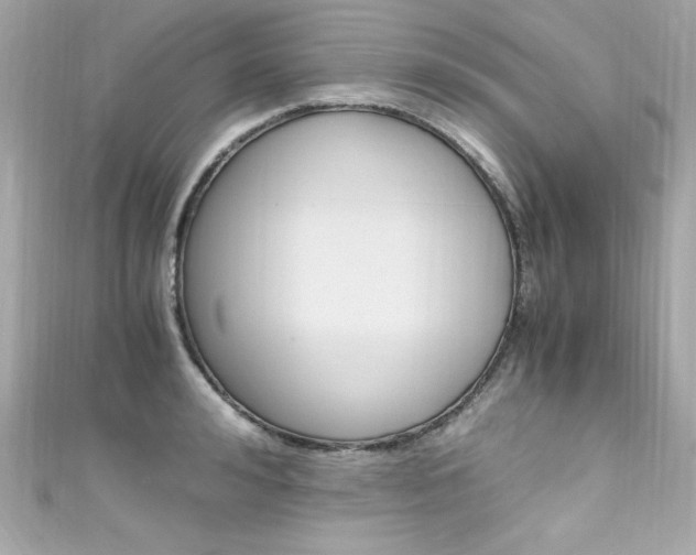 X0000111600992200907161210