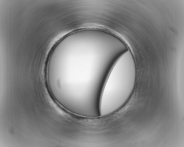 X0000111600995200907161210