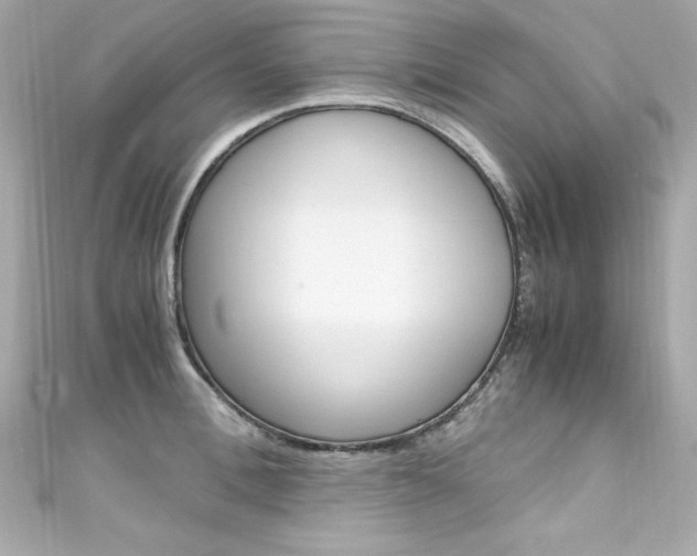 X0000111600996200907161210