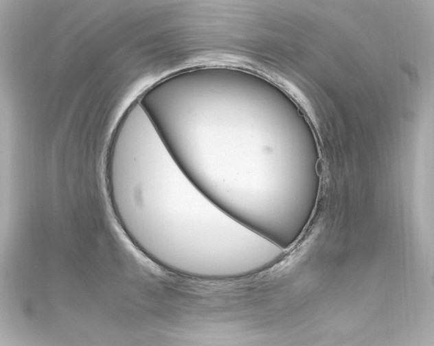 X0000111600997200907161210