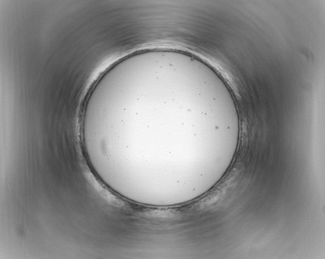 X0000111600998200907161210