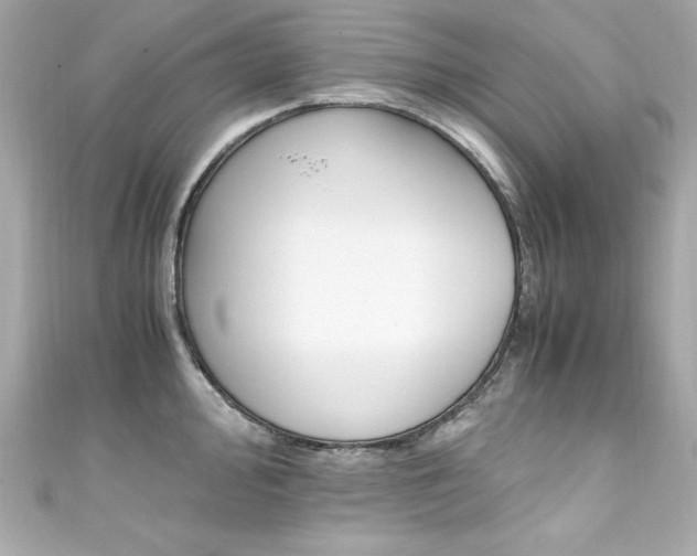X0000111601000200907161210