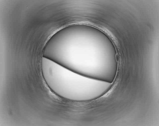 X0000111601001200907161210