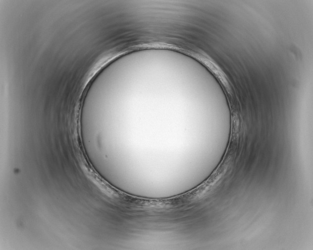 X0000111601002200907161210