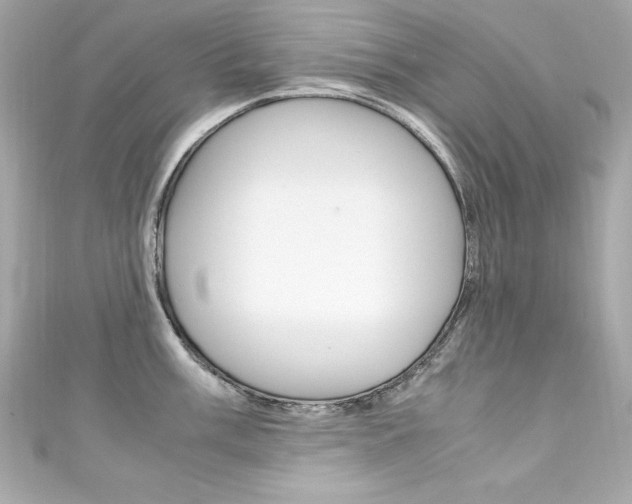 X0000111601003200907161210