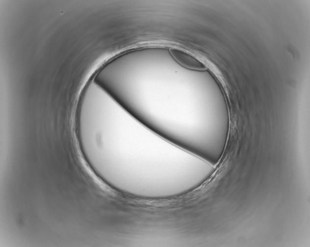X0000111601005200907161210