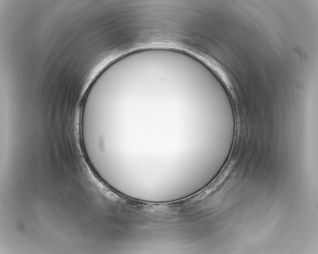 X0000111601006200907161210