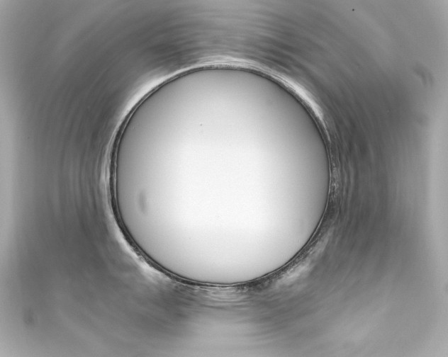 X0000111601007200907161210