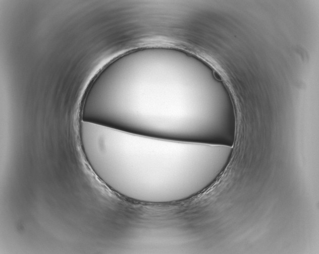 X0000111601008200907161210