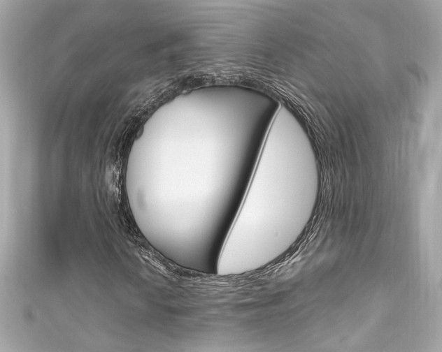 X0000111601010200907161209