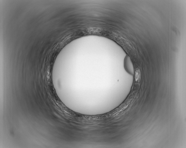 X0000111601011200907161209
