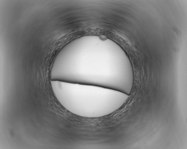 X0000111601013200907161209