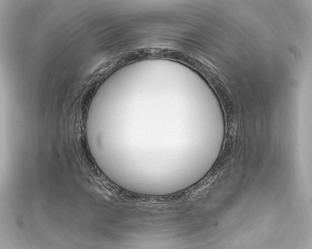 X0000111601014200907161209