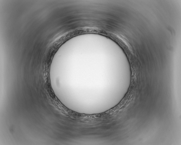 X0000111601015200907161209