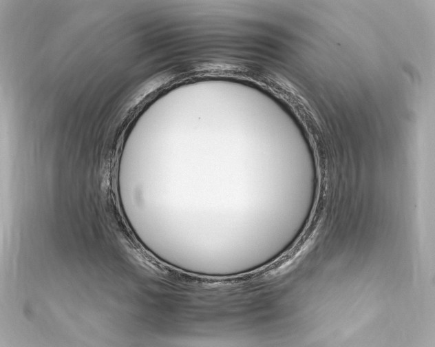 X0000111601017200907161209