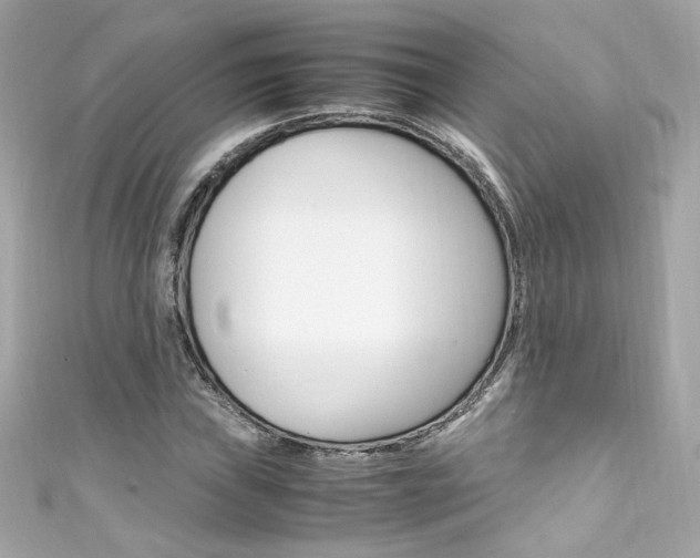 X0000111601019200907161209