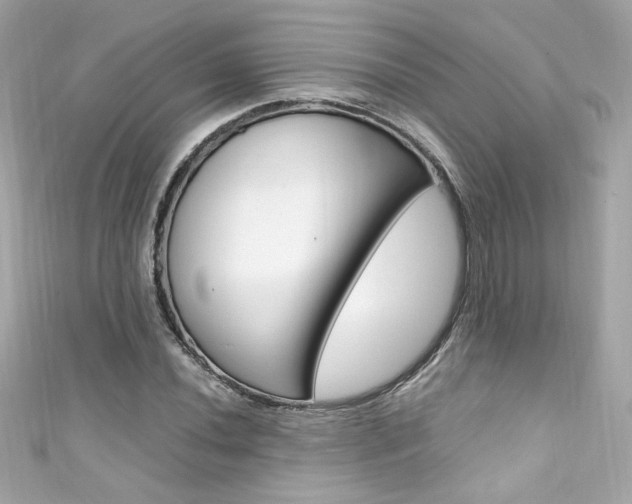 X0000111601020200907161209