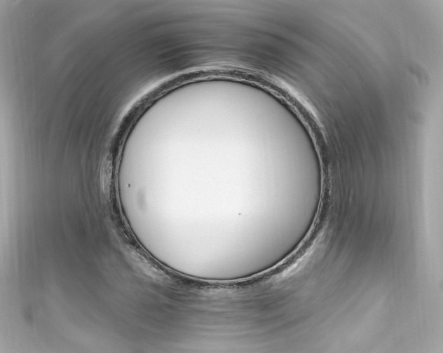 X0000111601021200907161209