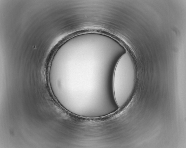 X0000111601022200907161209