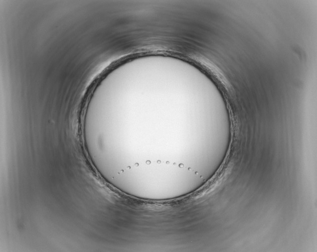 X0000111601023200907161209