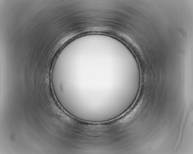 X0000111601025200907161209