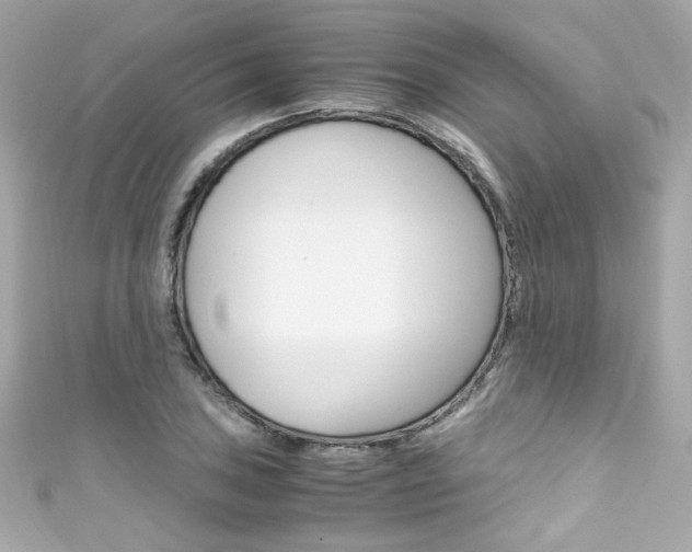 X0000111601027200907161209