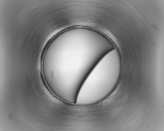 X0000111601028200907161209