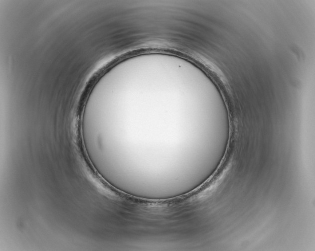 X0000111601029200907161209