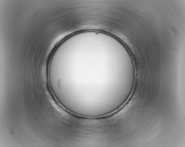 X0000111601030200907161209