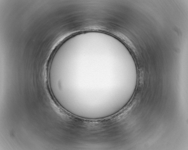 X0000111601031200907161209