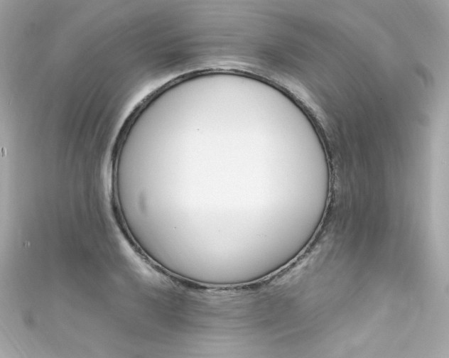 X0000111601032200907161209
