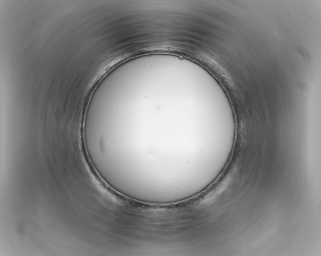 X0000111601033200907161209