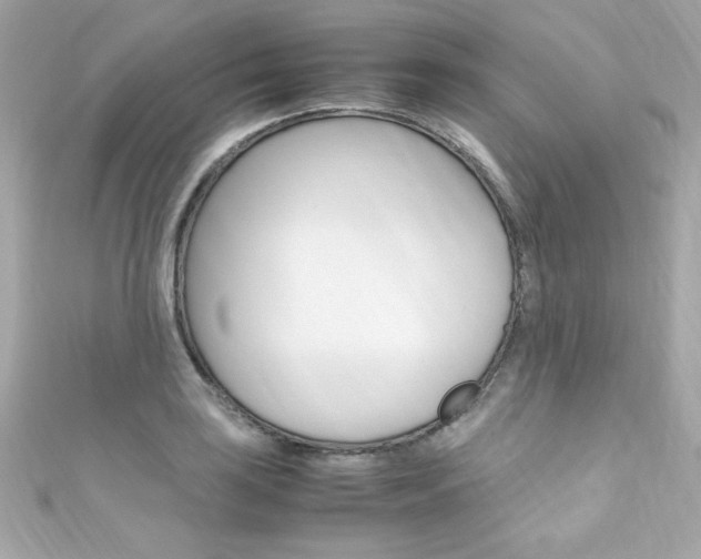 X0000111601035200907161209
