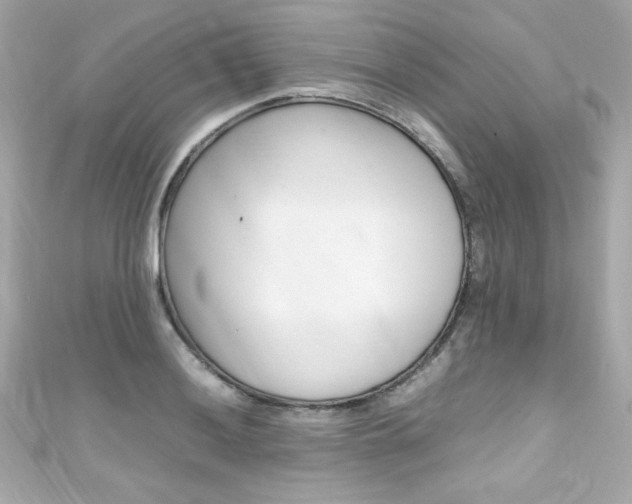X0000111601036200907161209