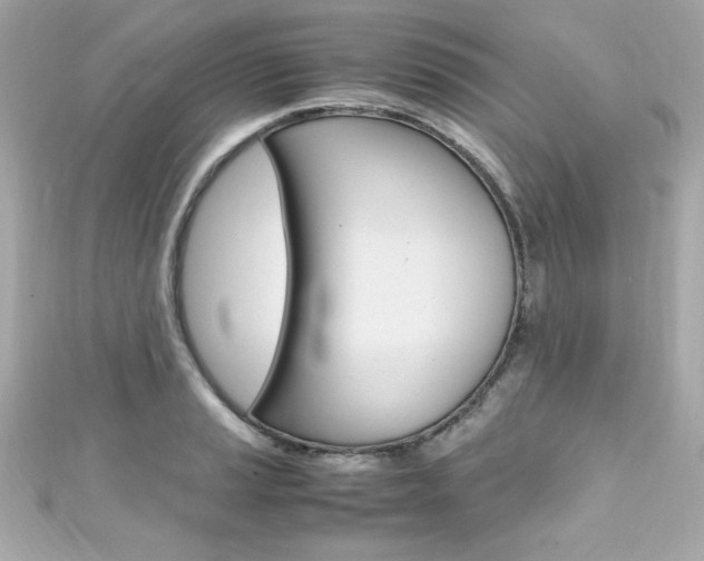 X0000111601037200907161209