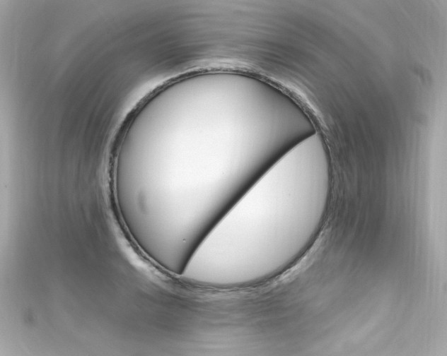 X0000111601038200907161209
