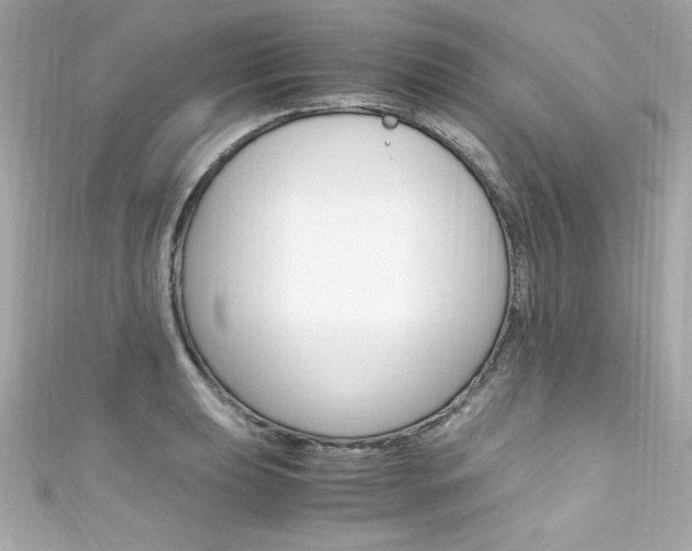X0000111601039200907161209