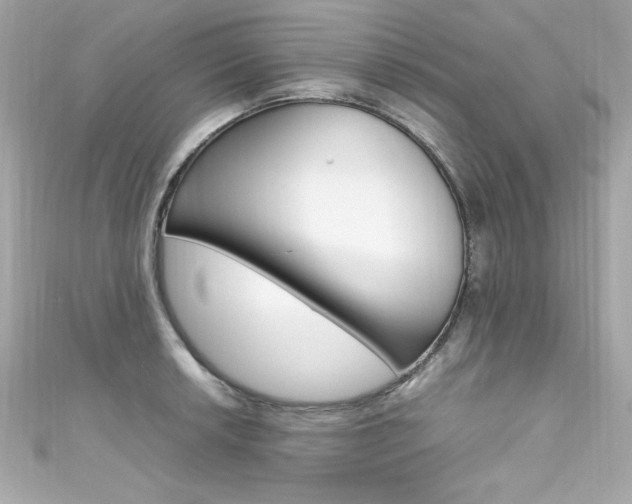 X0000111601042200907161210