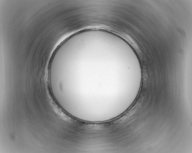 X0000111601044200907161210