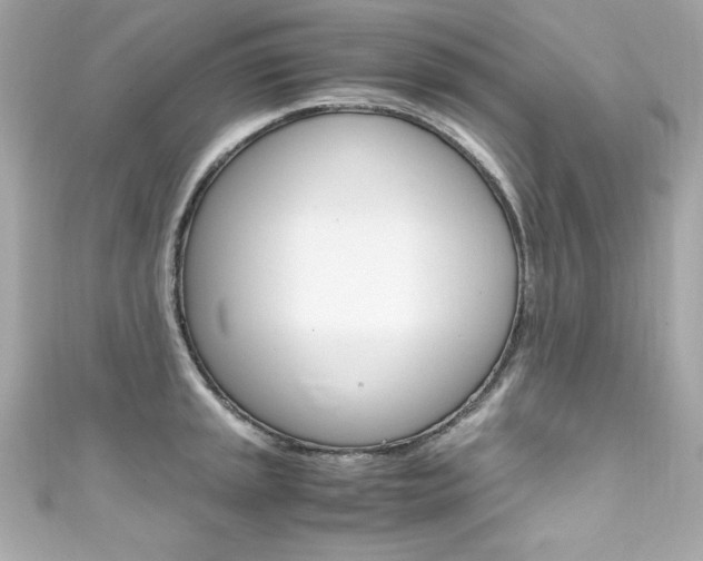 X0000111601045200907161210
