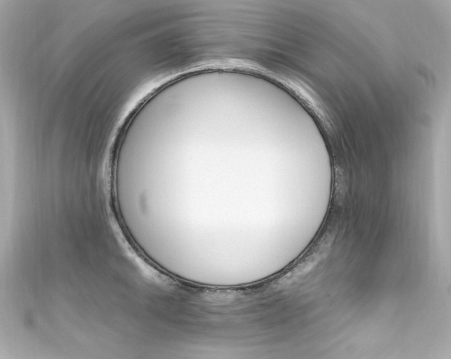 X0000111601046200907161210