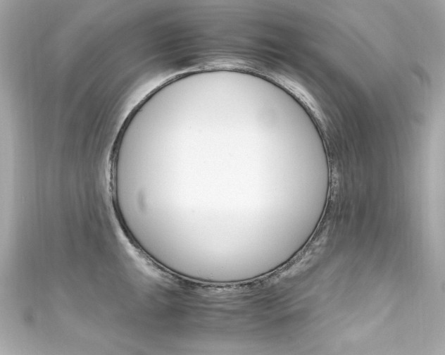 X0000111601047200907161210