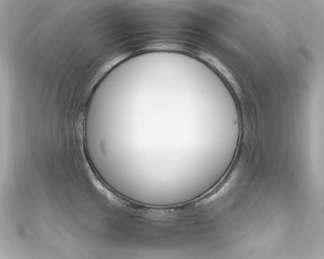 X0000111601049200907161210