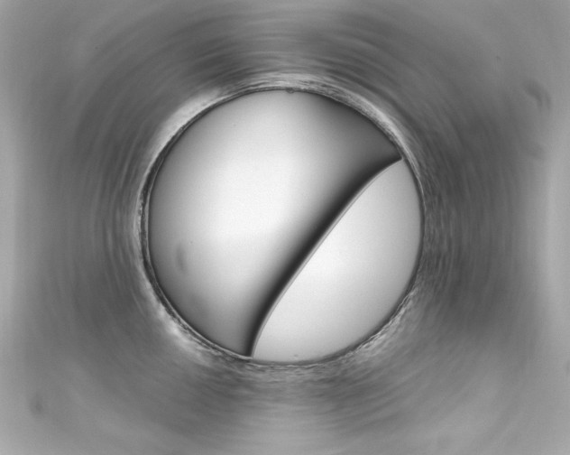 X0000111601050200907161210