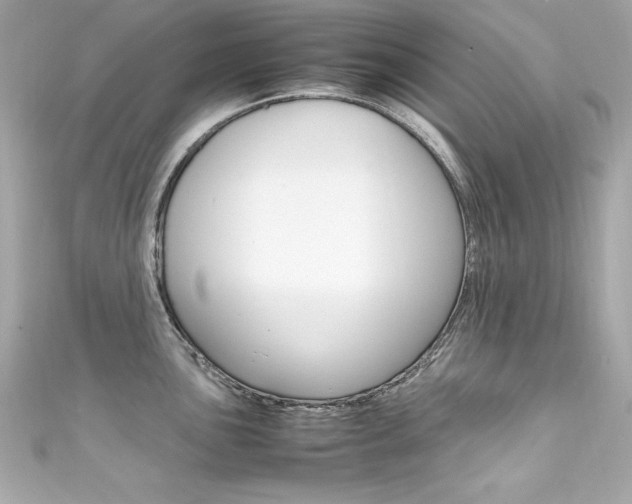 X0000111601051200907161210