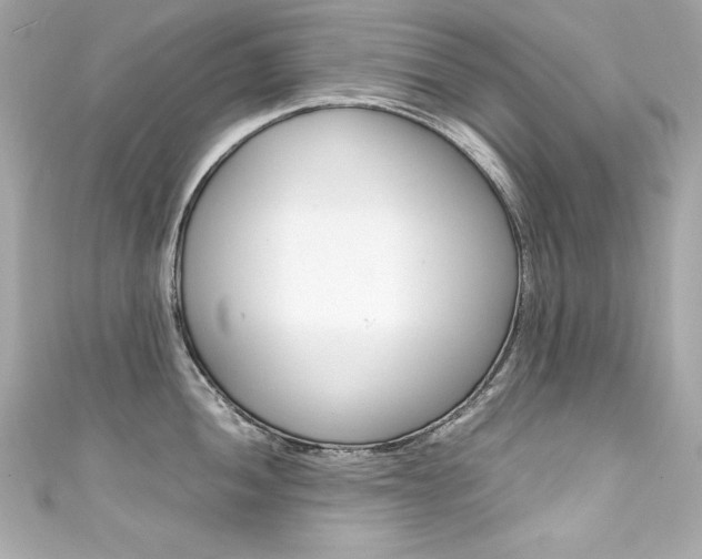 X0000111601052200907161210